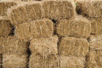 Hay for Sale<br/>Silt Mesa Area