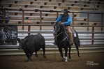 Horses<br/>Dakota 50/50 Sale, Futurity & Maturity