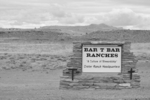 Yearling Foreman - Bar T Bar Ranches