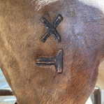 Ranch Job - D&S Cattle Co