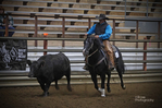 Horses<br/>Dakota 50/50 Sale, Futurity and Maturity