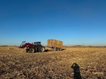 2026 Corn stalks in 3x4 bales for sale.<br/>Corn Stalks for sale