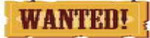 Arrowheads and Indian Artifacts/Beadwork etc. from the High Plains Region NE, WY, CO, SD, ND, KS, MT. No collection too small. Please call or text and/or text photos.