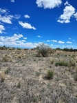 Powell, Wyoming<br/>11.22 Acres - Room for Horses, Shop & More