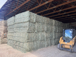 QUALITY HAY FOR SALE