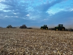 2026 Corn stalks in 3x4 bales for sale.<br/>Corn Stalks for sale