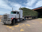 Self unloading hay trailer 
Peterbilt 379exhd 2002 transcraft  1989 Peterbilt 379exhd