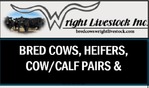 bredcowswrightlivestock.com
 
----------