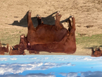 Red Angus Yearling Bulls<br/>Lytle Red Angus