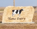 Dairy Herd<br/>Dairy Herd Management