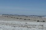 2006 Center Pivot Valley Sprinkler