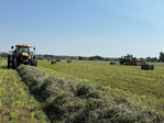 QUALITY HAY FOR SALE