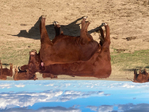 Red Angus Yearling Bulls<br/>Lytle Red Angus - Best Last Chance Sale