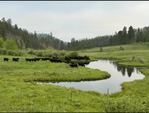 FULL TIME RANCH HAND - Alexander Ranch